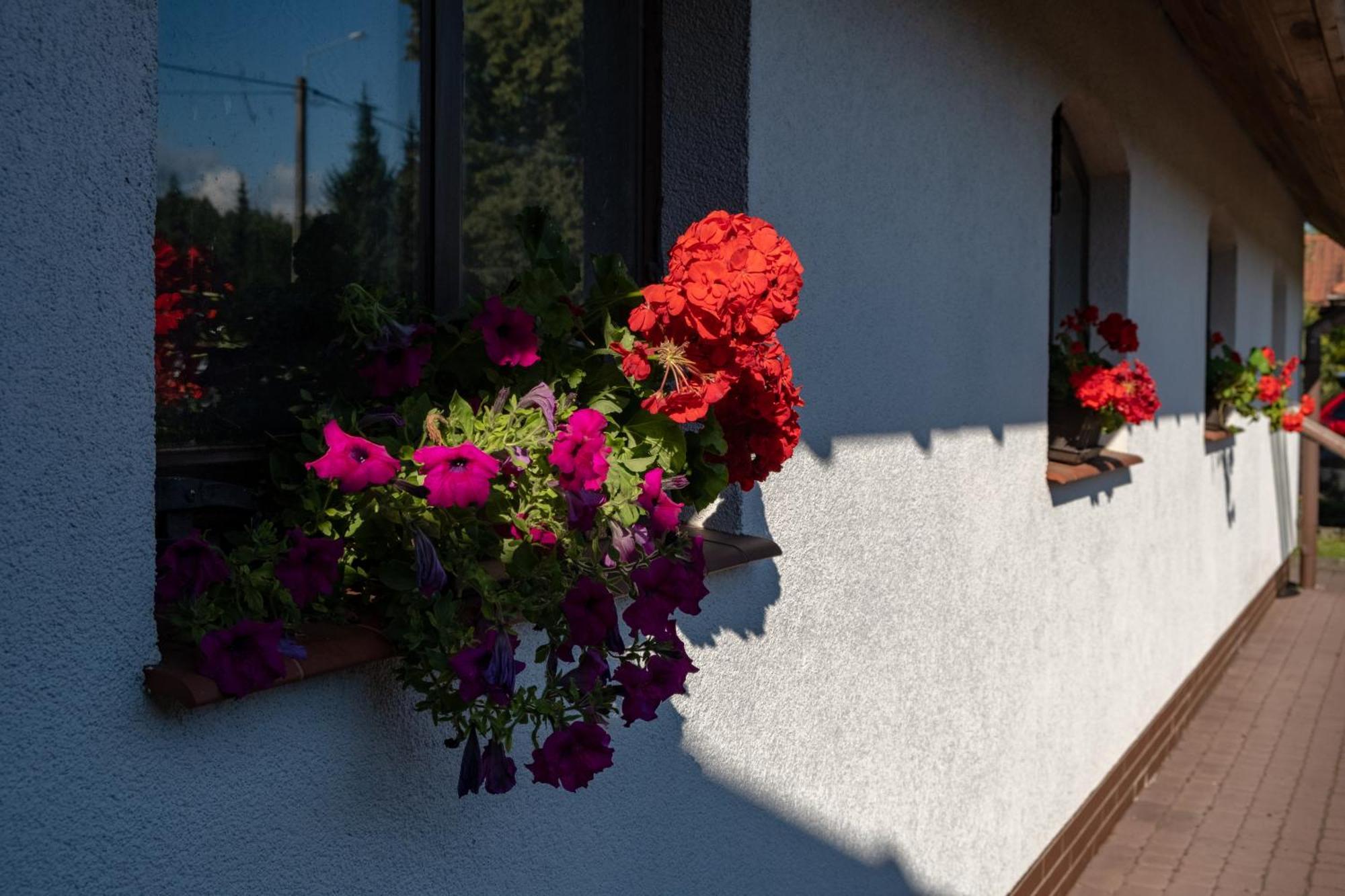 Siedlisko Leszczewek Villa Eksteriør bilde